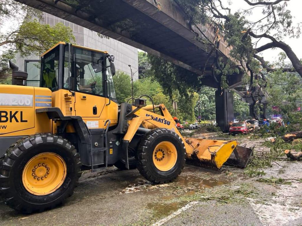 DBKL Diarah Segera Tebang Pokok Berisiko Tumbang – BBC PORTAL